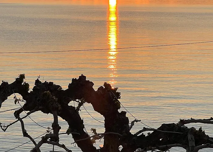 Panorama - Restaurant