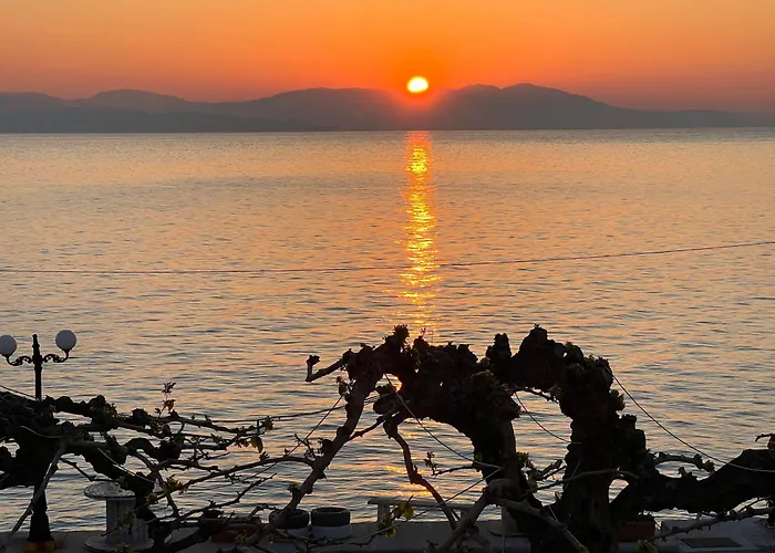 Panorama - Restaurant