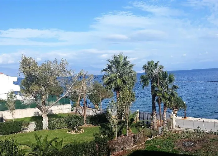 Otel Panorama - Restaurant