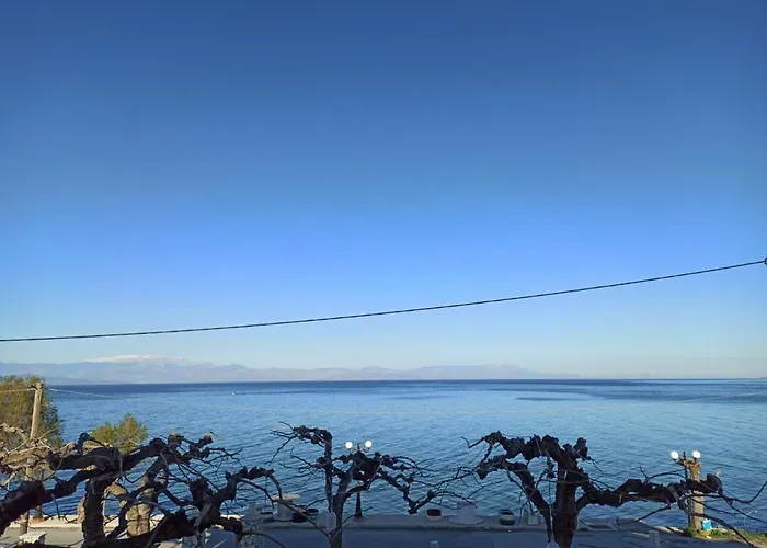 Panorama - Restaurant